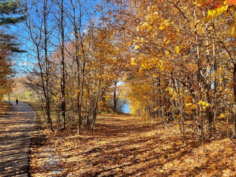 Central area: Allandale Station Park